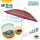 AKTIVE 62218 Sonnenschirm Durchmesser 200 cm, weißes Rohr 28/32 mm, Polyester UV50 Fiberglas