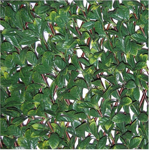 Tenax Hecke PU auf Ausziehbares Rankgitter Divy grün 200 x 4 x 100 cm 1 a150277