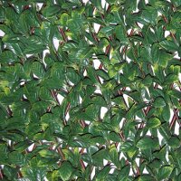 Tenax Hecke PU auf Ausziehbares Rankgitter Divy grün 200 x 4 x 100 cm 1 a150277