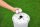 Bestway Sandfilter 3,028 m³/h, Pumpe 85 Watt AC220-240V, Vorfilter, Chemconnect™ Diffusor