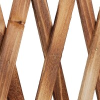 Relaxdays Rankgitter Holz, ausziehbar bis 200cm, Rankhilfe Kletterpflanzen, freistehend, Garten, Balkon, Terrasse, natur, 98 x 200 x 30 cm, Geflammt