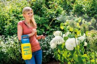 GLORIA Drucksprüher prima 3 | Gartenspritze | Sprühgerät für den Pflanzenschutz | 3 L Füllinhalt | Verstellbare Messingdüse | kompakt für den klein...