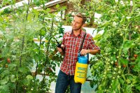 GLORIA Drucksprüher prima 3 | Gartenspritze | Sprühgerät für den Pflanzenschutz | 3 L Füllinhalt | Verstellbare Messingdüse | kompakt für den klein...